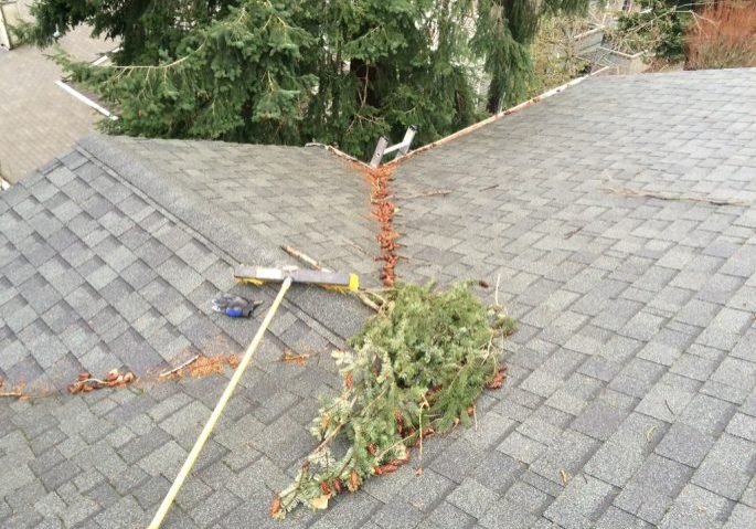 Roofs & Gutters Cleaning